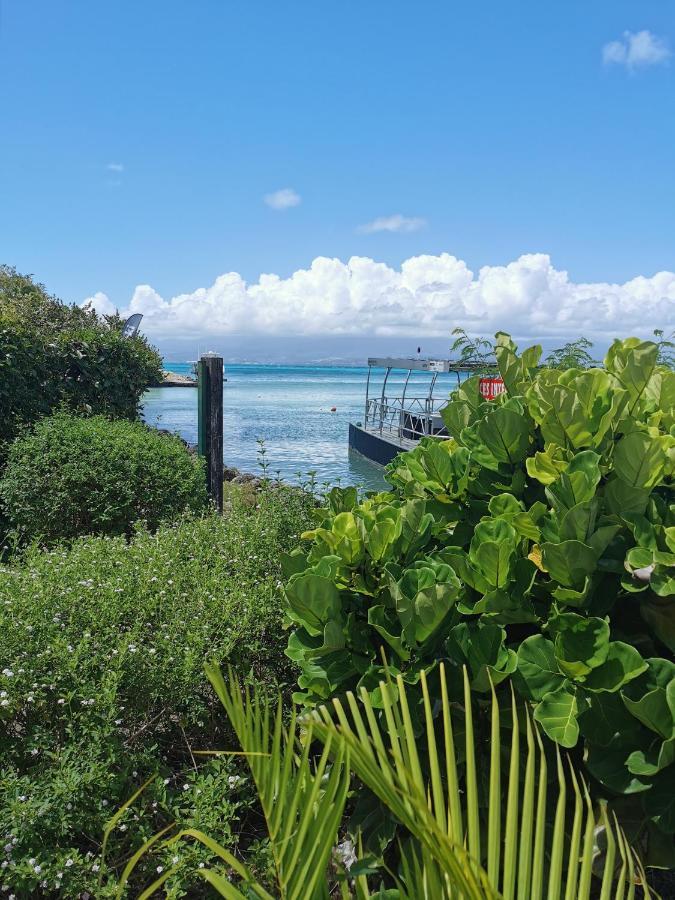 La Creole T3 Lumineux A 1Mn De La Plage Le Gosier  Buitenkant foto